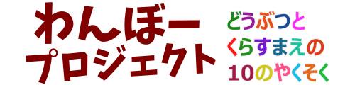 わんぼープロジェクト